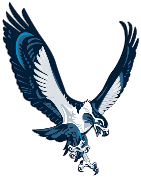 Seattle Seahawks 2002-2011 Alternate Logo iron on transfers for fabric